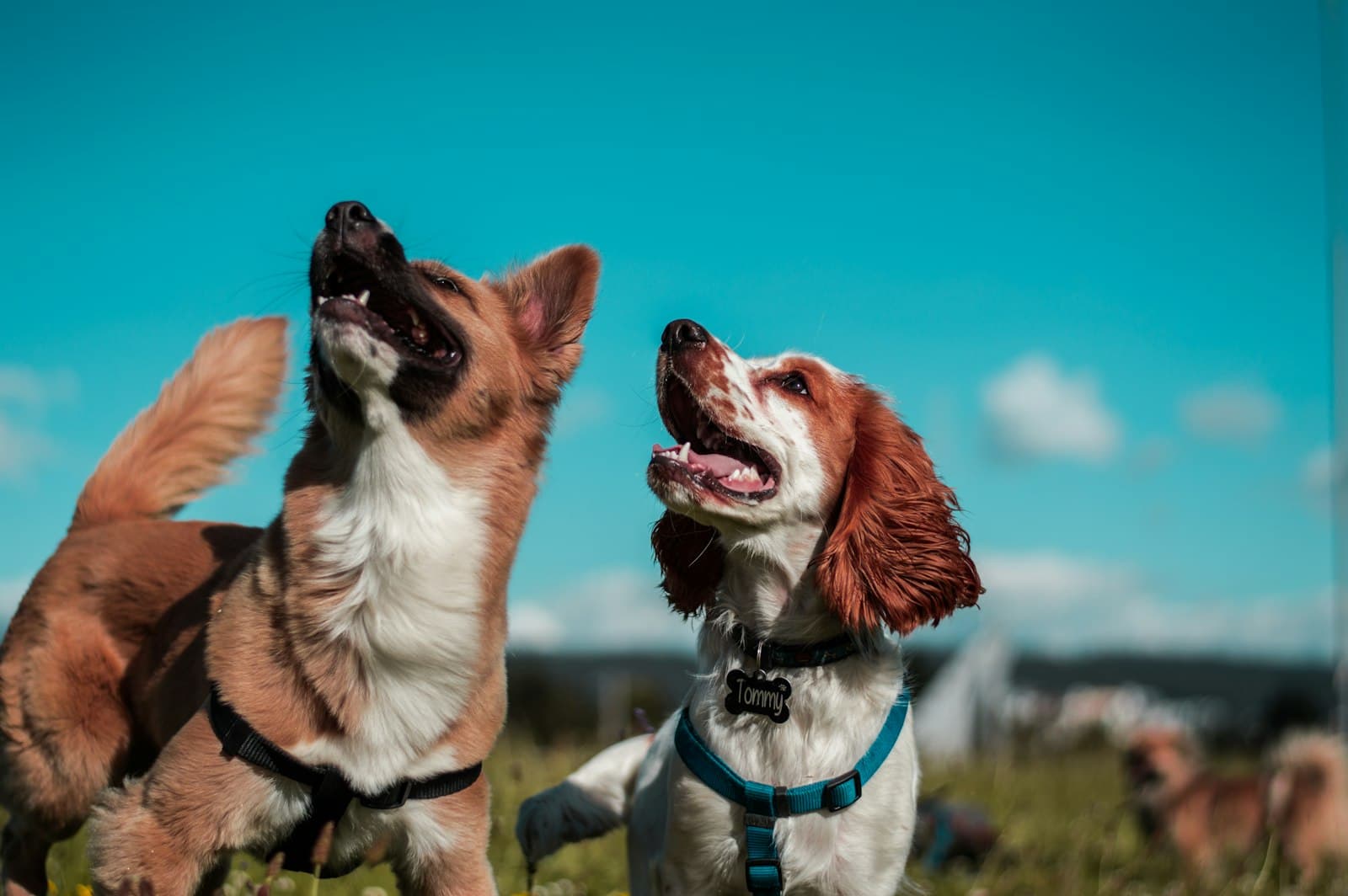 Beverly with one of her regulars on Clapham Common